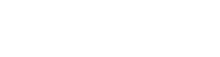 Syntix Global LLC